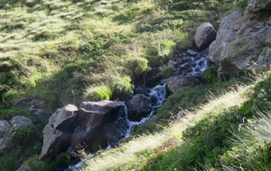 597f22c449921_IMG4406.jpg