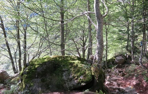 5991cc7a43485_IMG4490.jpg