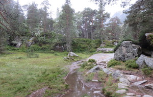 59b63155c017c_IMG4789.JPG