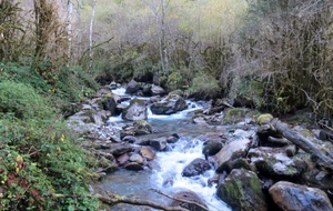59f637fb0bf3c_IMG5584.jpg
