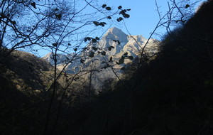 59f6387912f86_IMG5591.JPG