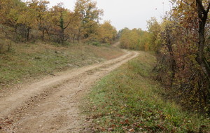 5a08a8373a972_IMG5698.JPG
