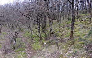 5ac250890cafd_IMG7638.jpg