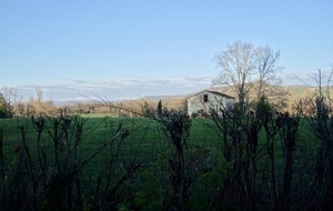 5ff1f58d2216b_W15kqgCpTfSQmiaJ9BPkLAthumb75a9.jpg