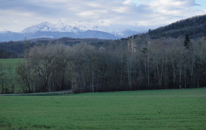 6020289b079fa_PaysdeMirepoix2.JPG