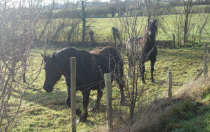 Chemin de Labastide Vassal - 29/01/2026