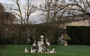 81 - Chemin de Labastide Vassals - St Grégoire - 29/01/2026