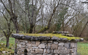 46 - CheMain faisant - Concots - 19/02/2026