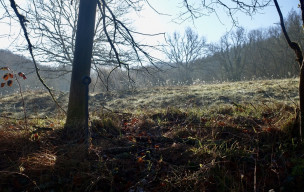 Sentier du Chevreuil - 26/02/2026