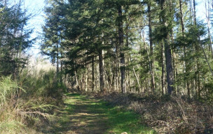 Vallée de la Jouyre - 15/03/2026