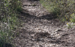 Deux puechs au sud d'Albi