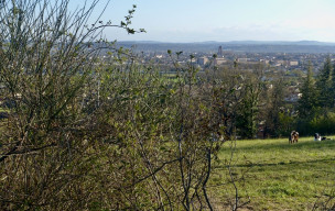 Deux puechs au sud d'Albi - 29/03/2026