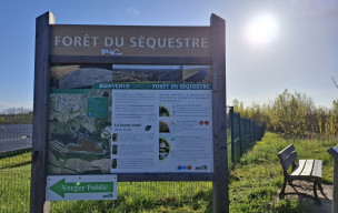 81 - Le Séquestre - Puechs au sud d’Albi - 29/03/2026