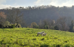 12 - Bor et Bar – Vallée du Viaur - 02/04/2026