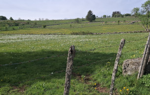 AUBRAC - jour 2 - 2026