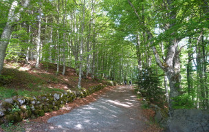Séjour Aubrac - jour 2 - Chemin de St Jacques