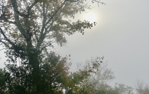 Cirque de Bône - 22/10/2026