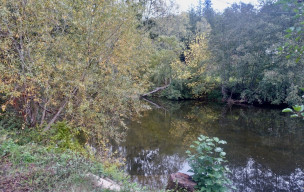 Fête de La Châtaigne - 25/10/2026