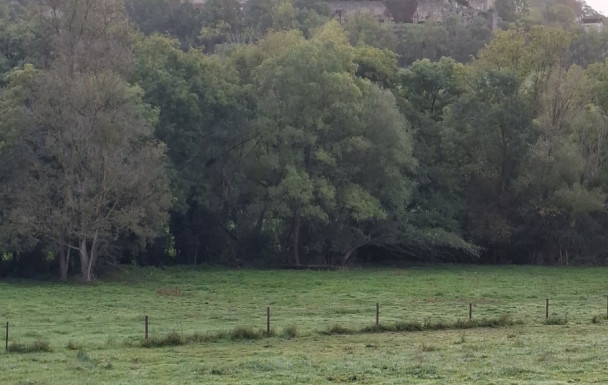 Les balcons de Cordes sur Ciel 