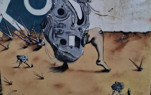 81-Barrage des Cammazes-Durfort-05/02/2026