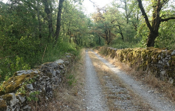 Saillagol / Saint-Projet - 19/07/2026